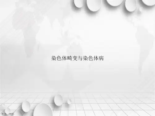 染色体畸变与染色体病2讲课文档