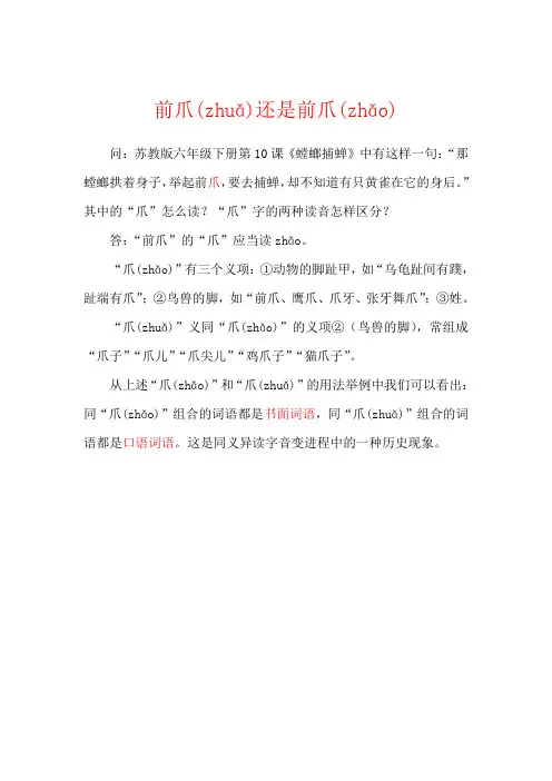 前爪(zhuǎ)还是前爪(zhǎo)