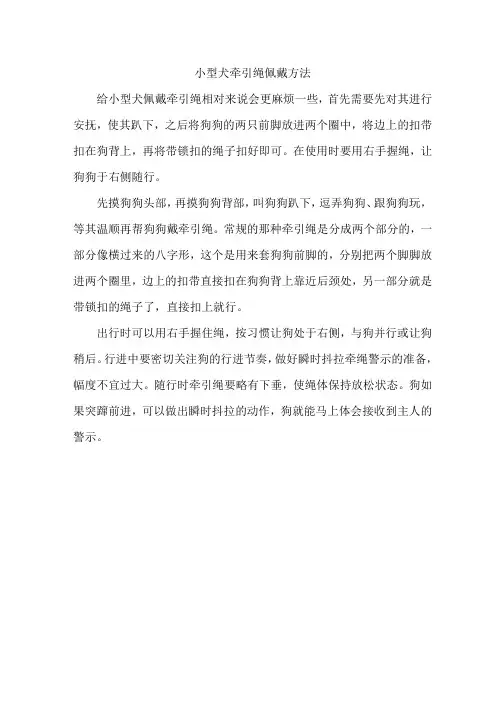 小型犬牵引绳佩戴方法