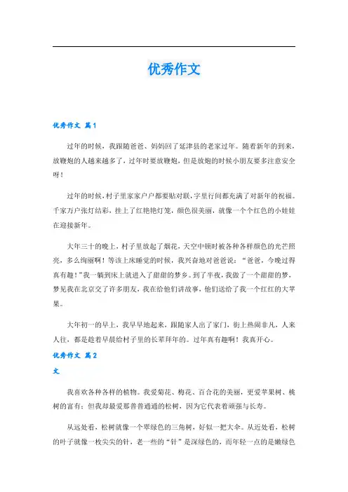 优秀作文(5).doc