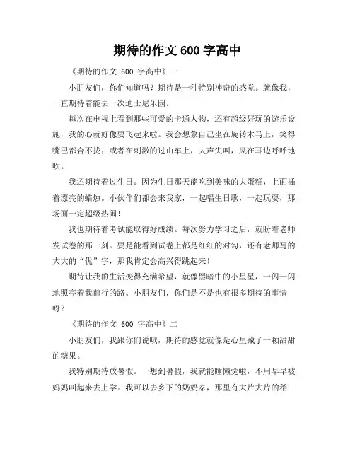 期待的作文600字高中