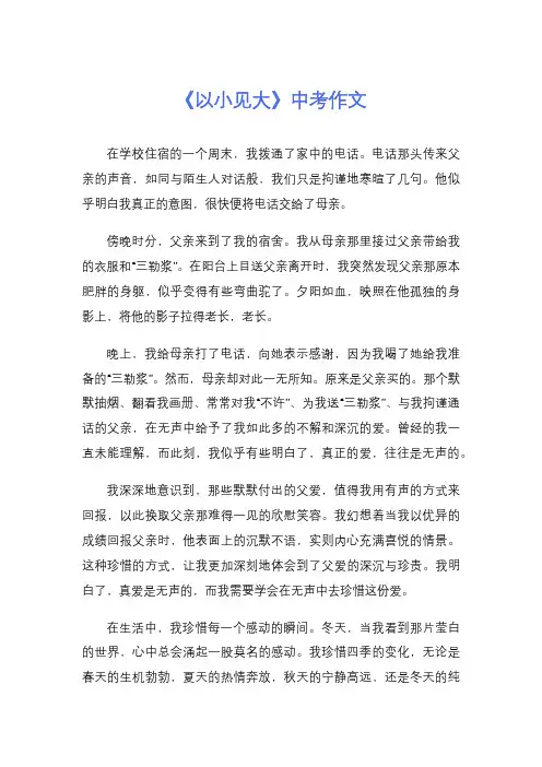 《以小见大》中考作文