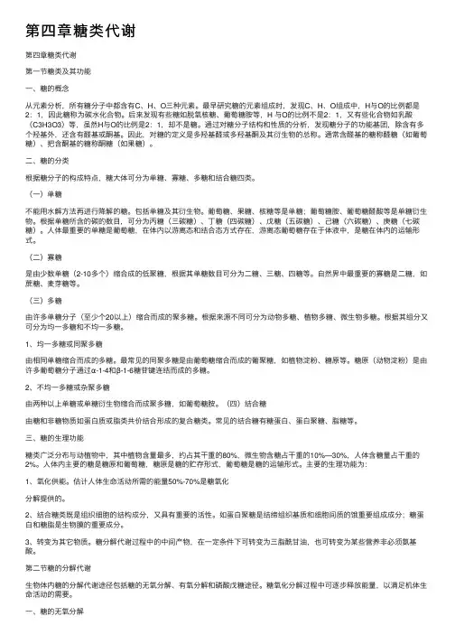 第四章糖类代谢