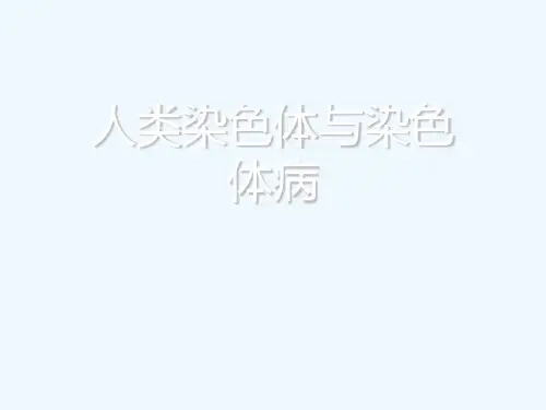 人类染色体与染色体病[可修改版ppt]