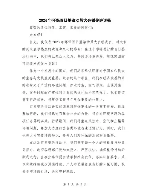 2024年环保百日整治动员大会领导讲话稿