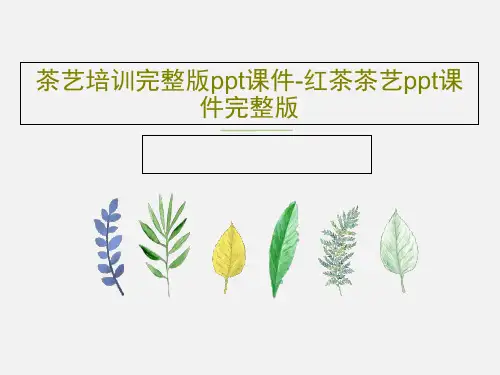茶艺培训完整版ppt课件-红茶茶艺ppt课件完整版共112页