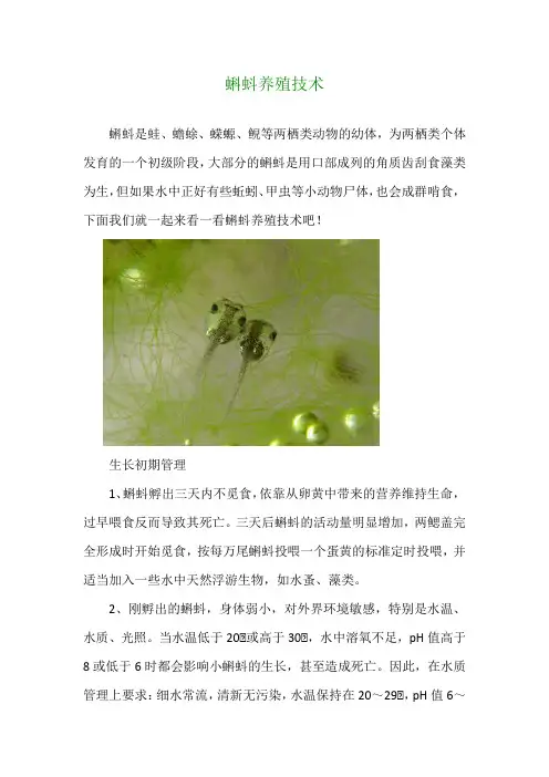 蝌蚪养殖技术