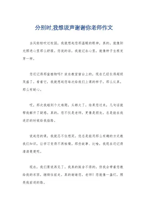分别时,我想说声谢谢你老师作文