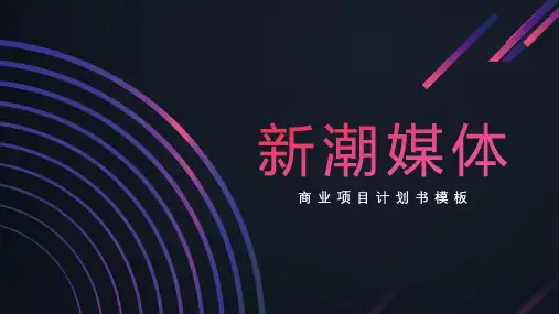 新媒体行业商业计划书PPT(完整版)