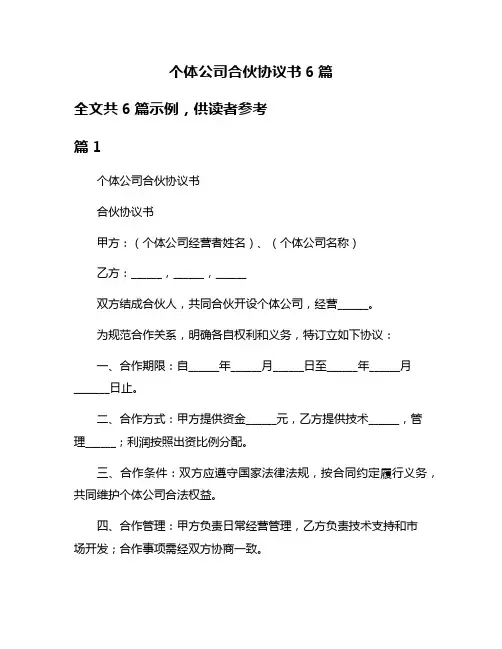 个体公司合伙协议书6篇