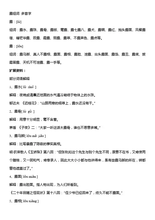 露组词 多音字