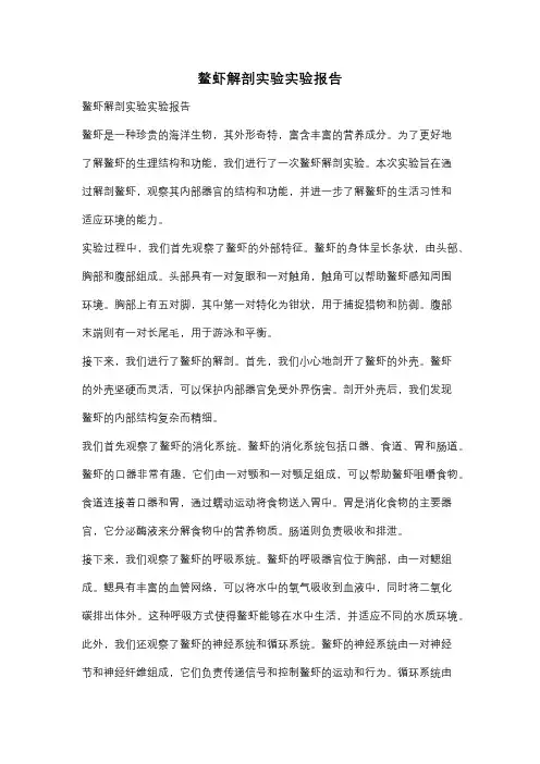 鳌虾解剖实验实验报告