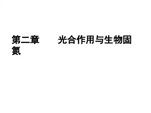 【生物课件】第二章  光合作用与生物固氮