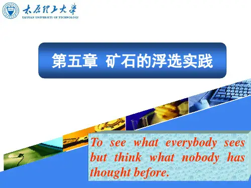 浮游选矿课件
