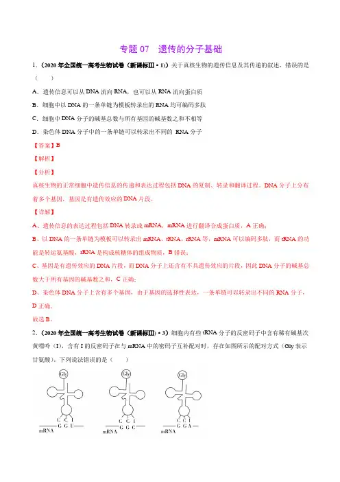 2021年高考生物真题训练07 遗传的分子基础(解析版)