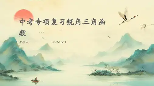 中考专项复习锐角三角函数