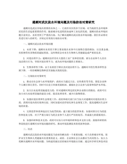 通顺河武汉段水环境问题及污染防治对策研究