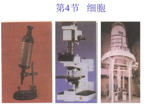 显微镜的使用[上学期]PPT课件(初中科学)