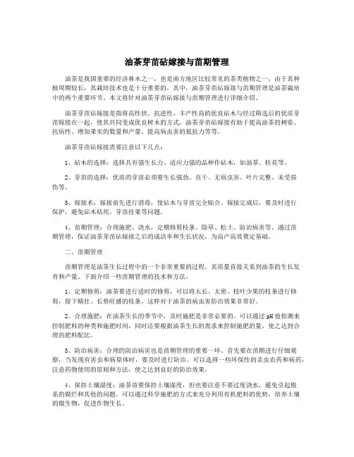 油茶芽苗砧嫁接与苗期管理