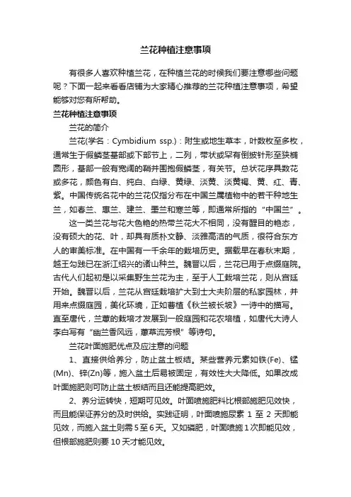 兰花种植注意事项