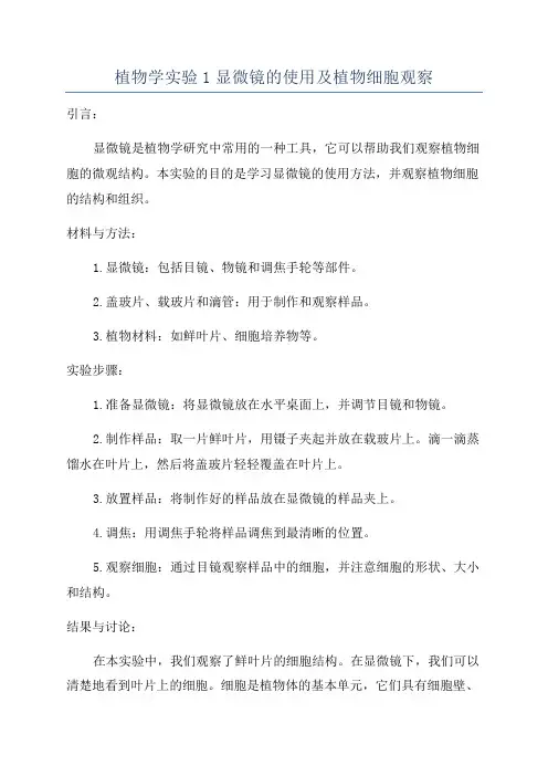 植物学实验1显微镜的使用及植物细胞观察