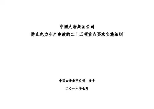 大唐集团公司防止电力生产事故的二十五项重点要求实施细则2016版资料
