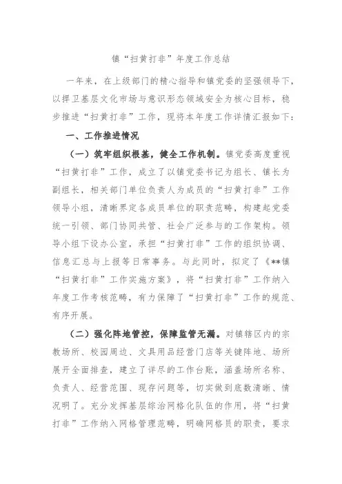 (2024.12.24)镇“扫黄打非”年度工作总结