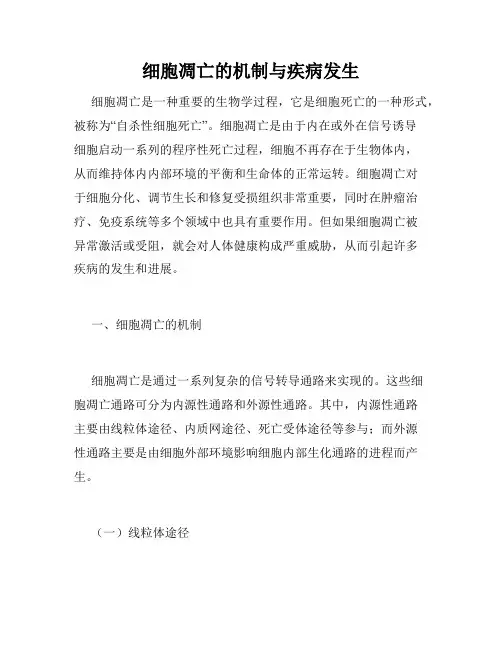 细胞凋亡的机制与疾病发生