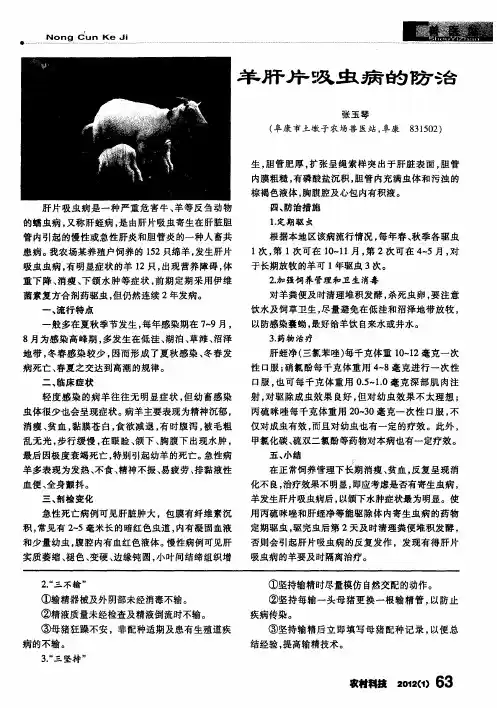 羊肝片吸虫病的防治