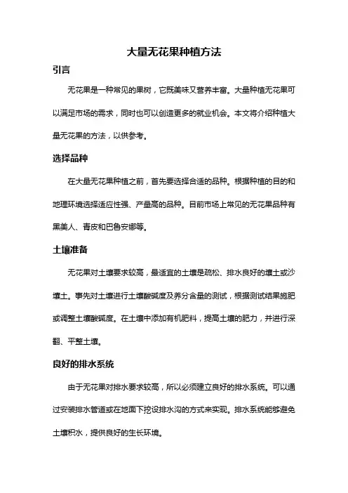 大量无花果种植方法