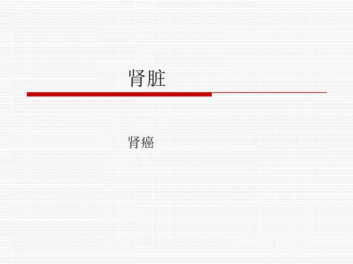 肾癌影像表现