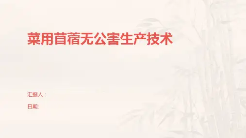 菜用苜蓿无公害生产技术