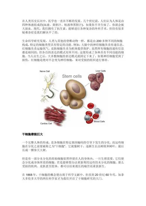 间充质干细胞抗衰老