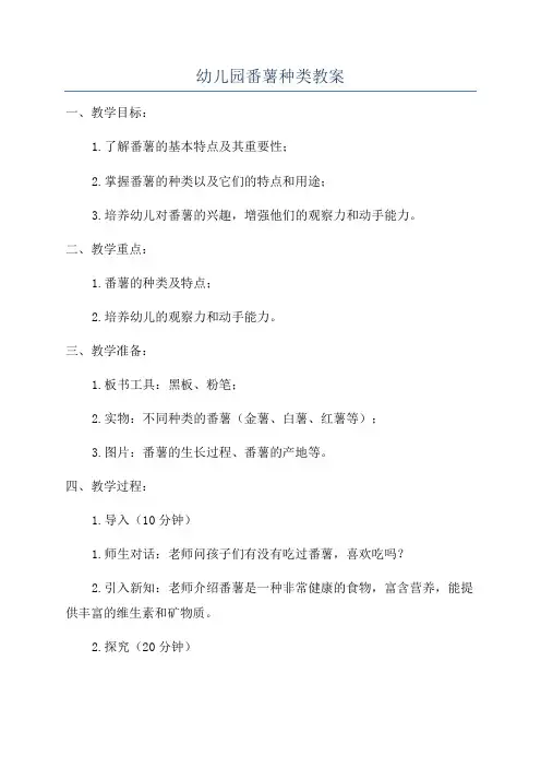 幼儿园番薯种类教案