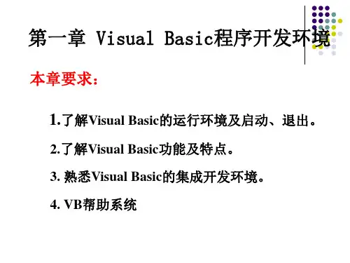 Visual Basic程序开发环境