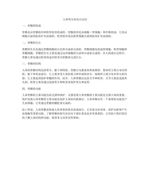 人体骨头知识点总结