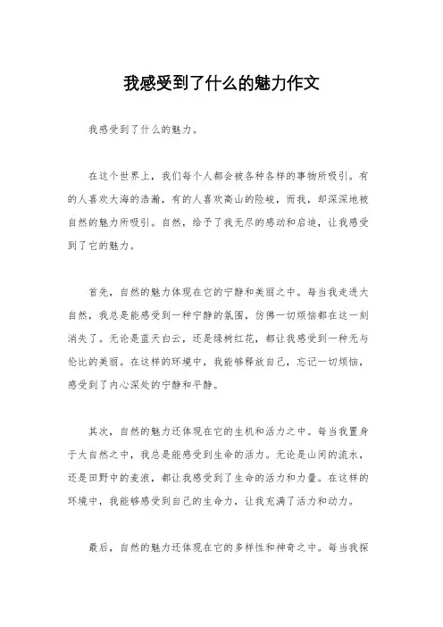 我感受到了什么的魅力作文
