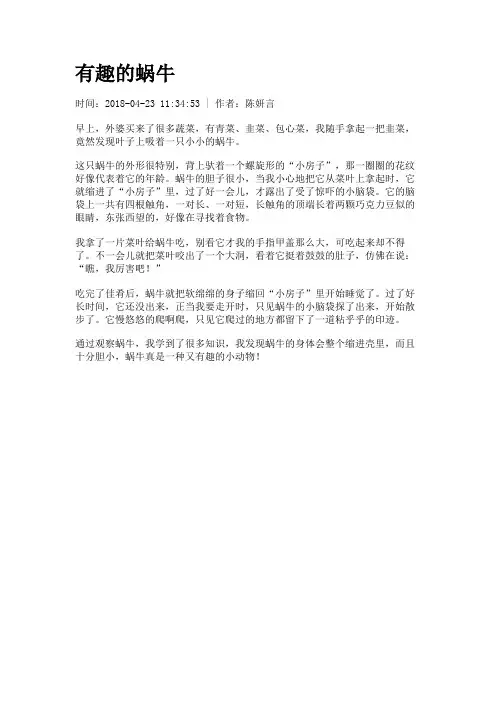 有趣的蜗牛