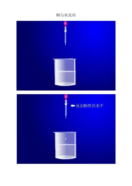 钠与水反应