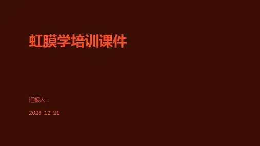 虹膜学培训课件