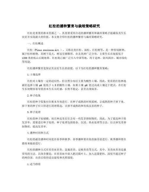 红松的播种繁育与栽培策略研究