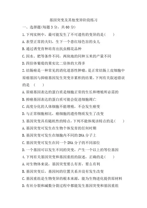 第五单元基因突变及其他变异 阶段练习-高一下学期生物人教版必修二