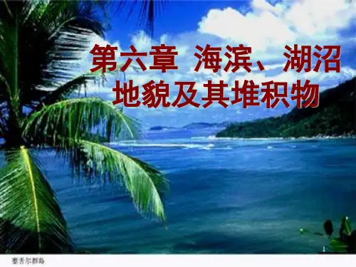 第六章海滨、湖沼地貌及其堆积物课件