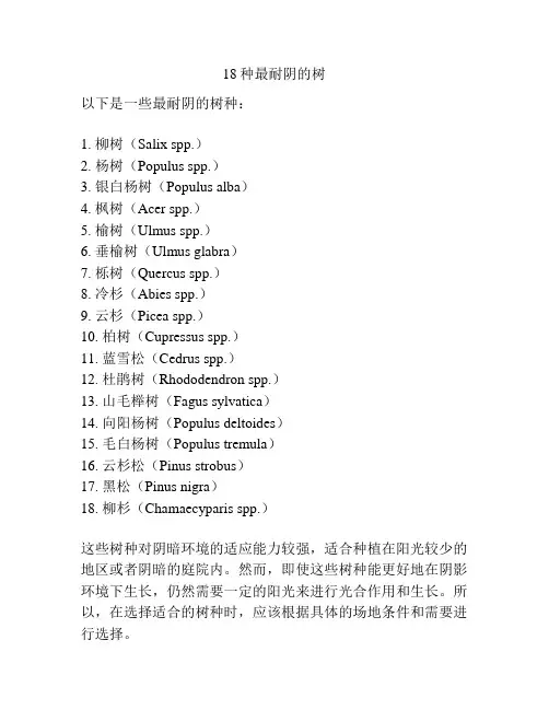 18种最耐阴的树