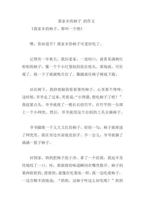 我家乡的柿子 的作文