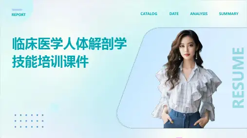 临床医学人体解剖学技能培训课件