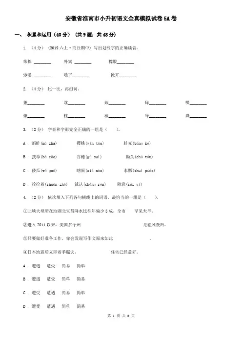 安徽省淮南市小升初语文全真模拟试卷5A卷