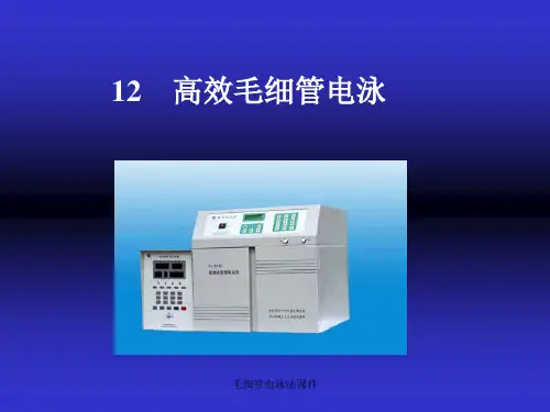 毛细管电泳法课件