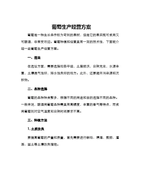 葡萄生产经营方案