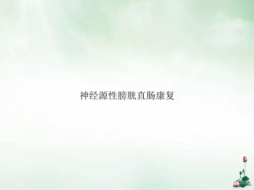 神经源性膀胱直肠康复课件